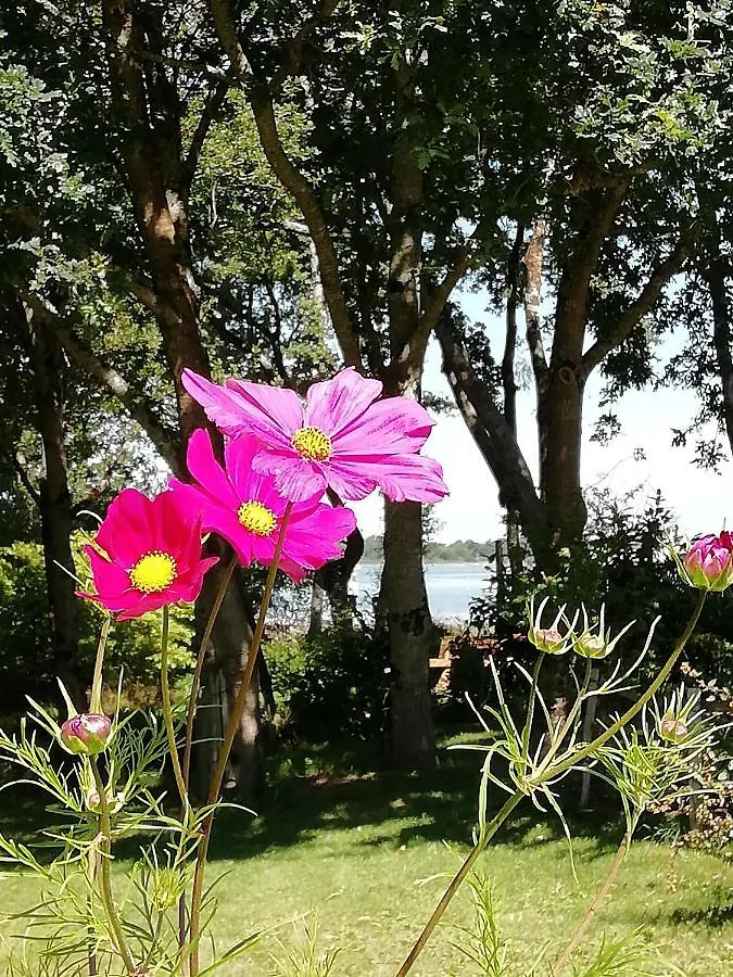 Holiday home La Petite Presqu'Ile Villa Locoal-Mendon
